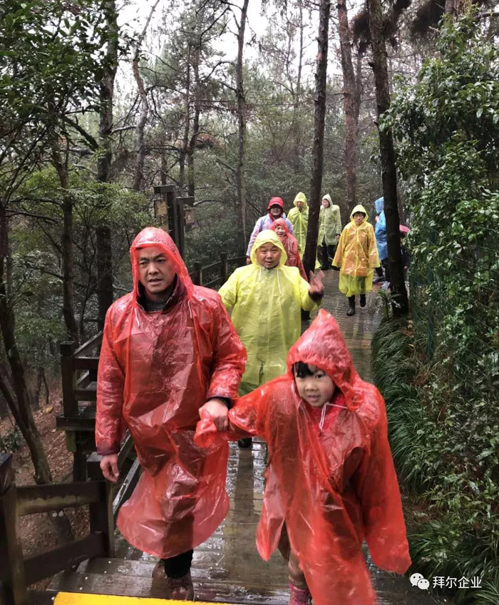 蘑菇视频下载安装入口地板黄山之旅